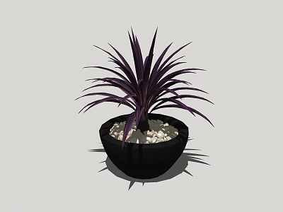 Bonsai Potted Plant with Purple Leaves in Black Pot and Small Stones 3d model