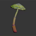 Colorful Mushroom With Iridescent Cap And Striped Stem On Black Background