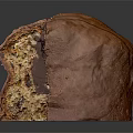 Appetizing Sliced Chocolate Bread with Soft Texture and Rich Chocolate Chunks