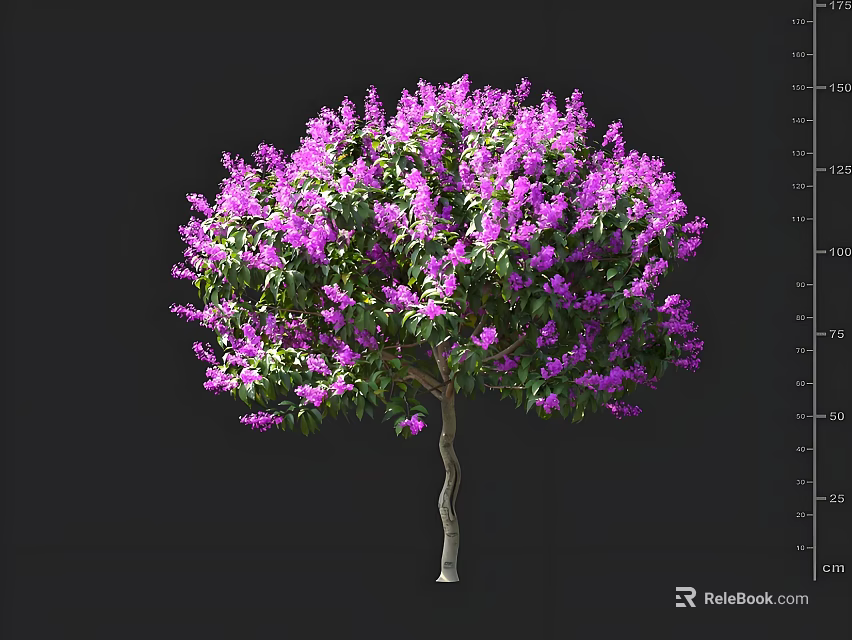 Vibrant Purple Flowering Tree With Lush Blooming Blossoms And Green Foliage 3d model 