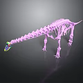 Purple Dinosaur Skeleton 3D Model With Colorful Head And Intricate Bone Structure 3d model