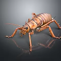 Large Brown Cricket 3D Model With Detailed Exoskeleton Long Antennae And Multiple Legs