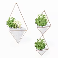 Geometric Hanging Planters With Green Plants Metal Frame And White Pot