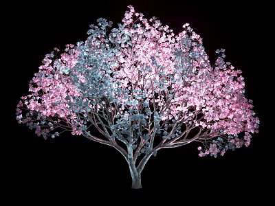 Stunning Flowering Tree with Pink and Blue Blossoms Against Black Background 3d model