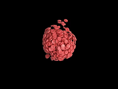 platelet cell red blood cell 3d model