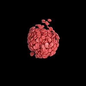 platelet cell red blood cell 3d model