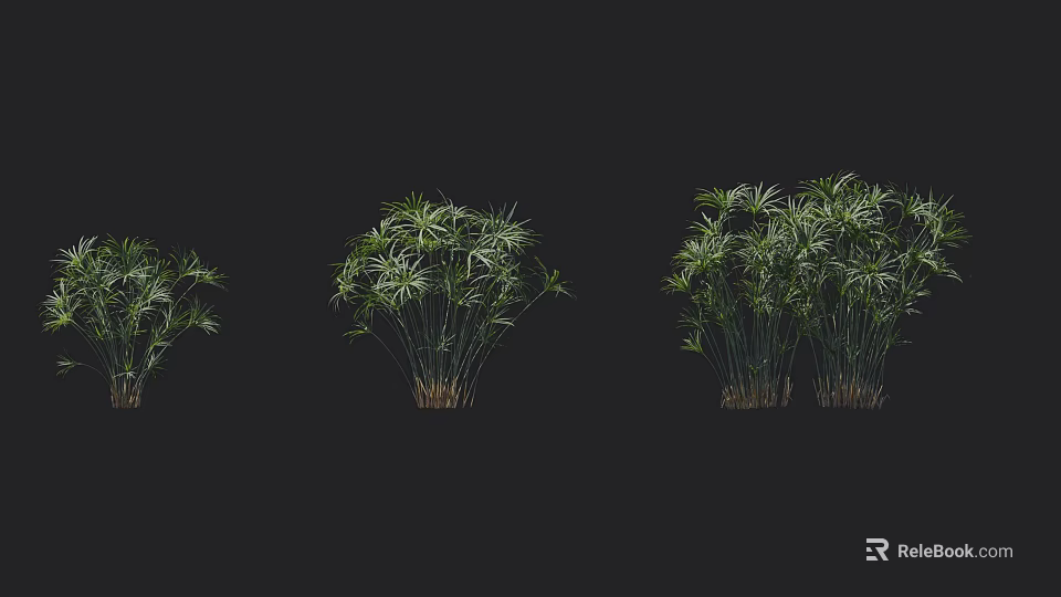 Lush Green Arbor Trees With Dense Foliage And Clustered Growth 3d model