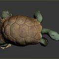 Green Turtle With Brown Carapace 3D Sculpture Figure Standing On Dark Surface