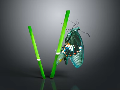 Green Winged Butterfly Perched On Two Green Straws Against Dark Background 3d model
