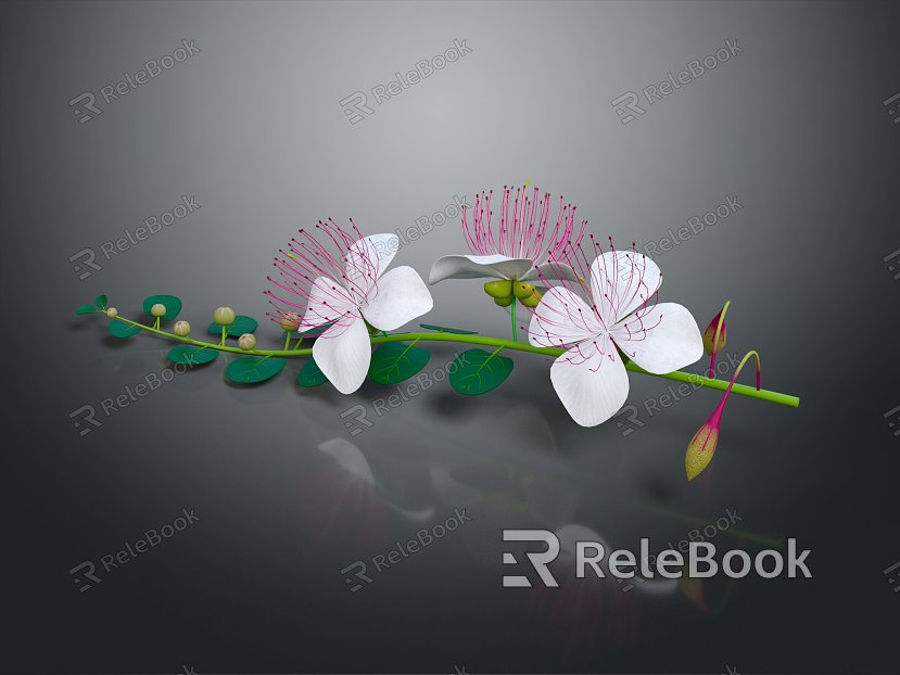 Modern Flower Tapered Flower model