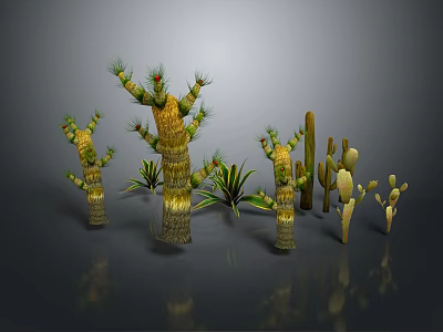 Various Form Cactus and Succulent Plants 3D Rendered Display with Different Shapes on Gray Surface 3d model