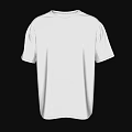 White Short Sleeve T Shirt Front And Back View Plain Casual Clothing