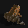 Brown And Yellow Frog Toy With Black Spots Open Mouth Large Eyes On Black Background