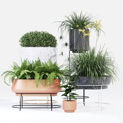 Various Bonsai and Potted Plants with Copper Marble Black Pots and Metal Stands 3d model