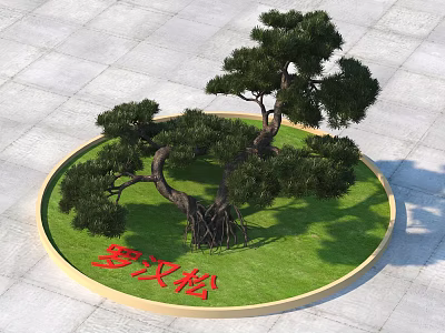 Chinese Podocarpus Tree in Circular Grassy Area with Red Characters on Stone Pavement 3d model