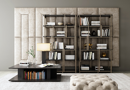 Modern bookshelf coffee table combination 3d model