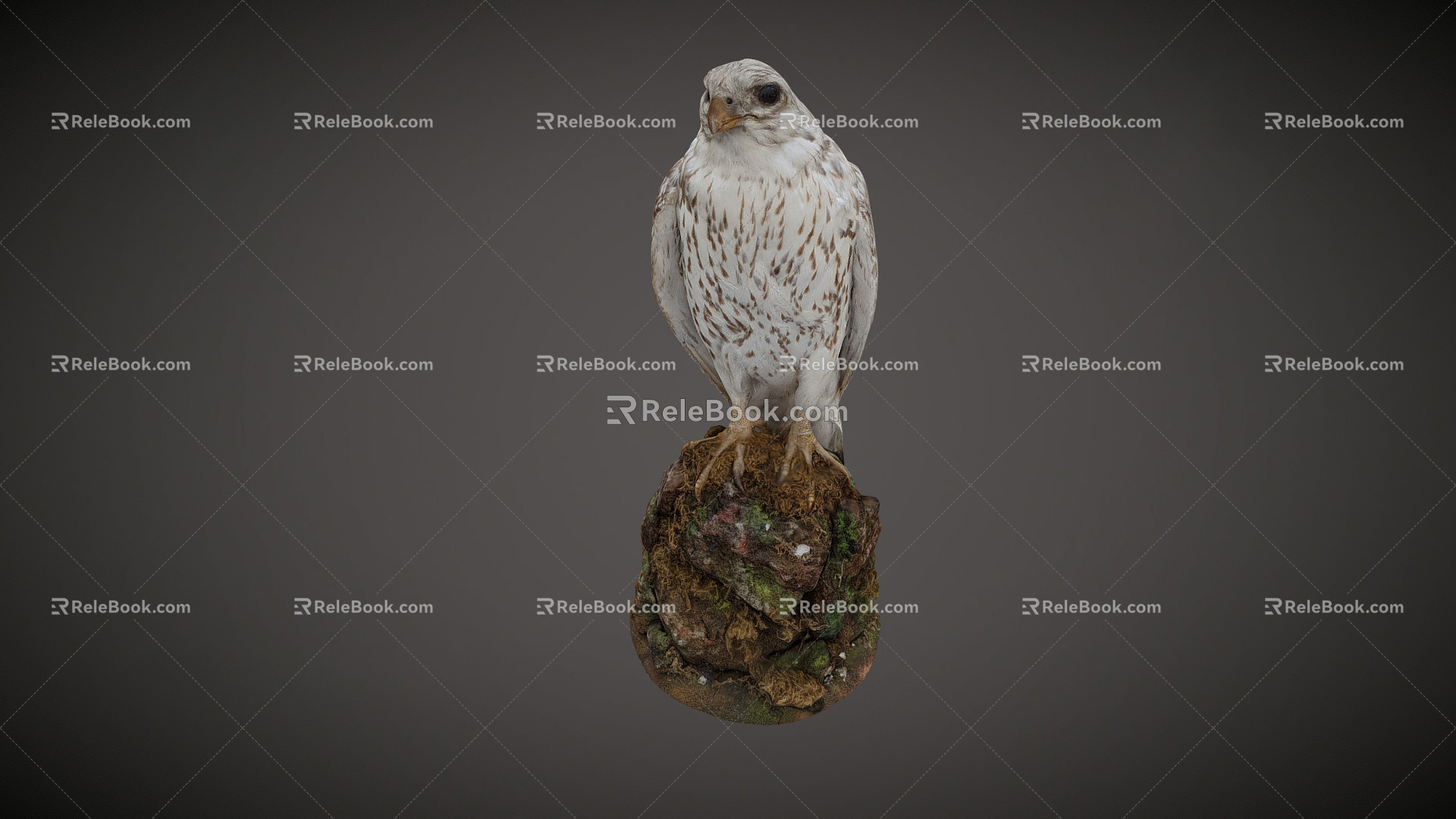 Modern Eagle 3d model