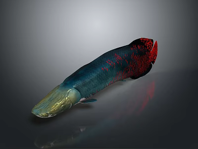 Vibrant Aquatic Fish With Blue Red Golden Scales And Sleek Shiny Body 3d model