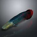 Vibrant Aquatic Fish With Blue Red Golden Scales And Sleek Shiny Body