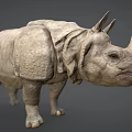 Rhinoceros Game Movie Character Realistic 3D Model With Detailed Skin And Horn
