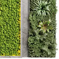 Vertical Garden Living Plant Wall Interior Design With Ferns Succulents And Moss