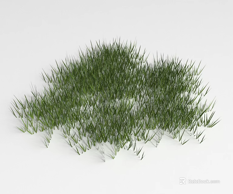 Lush Green Grass With Fresh Blades Growing In Neat Cluster Against White Background 3d model 