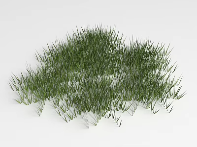 Lush Green Grass With Fresh Blades Growing In Neat Cluster Against White Background 3d model