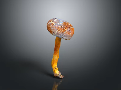 Vibrant Brown and Yellow Capped Mushroom Plant with Yellow Stem on Dark Background 3d model
