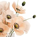 Decorative Ornament Set With Pink Poppy Flowers In Transparent Glass Vase