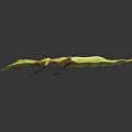 Leaf Mimicry Reptile With Green Yellow Coloration And Leaf Shaped Body Structures