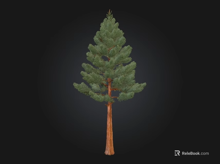 Pine Arbor With Green Needles And Brown Trunk Isolated On Black Background 3d model 