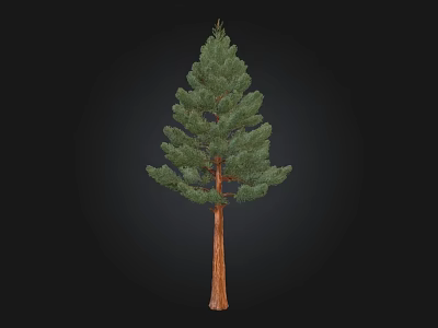 Pine Arbor With Green Needles And Brown Trunk Isolated On Black Background 3d model