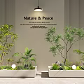 Nature Peace Garden Landscape With Various Plants Vertical Striped Wall And White Planters