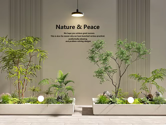 indoor landscape courtyard landscape sketch garden landscape plant landscaping 3d model