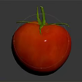 Fresh Ripe Red Tomato Vegetable with Green Stem on Dark Reflective Background