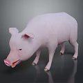 Detailed 3D Model Pink Pig Standing On Smooth Surface With Gray Background
