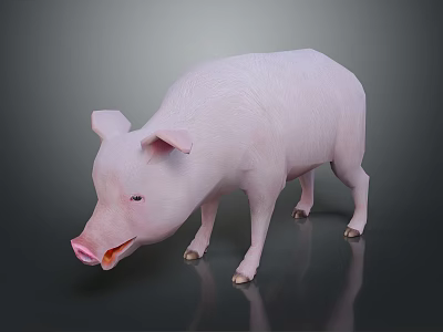 Detailed 3D Model Pink Pig Standing On Smooth Surface With Gray Background 3d model