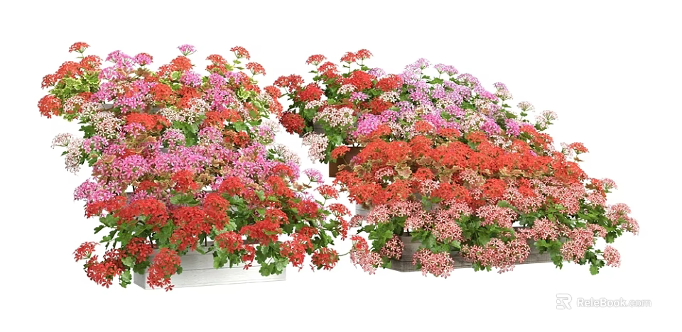 Colorful Flowering Bonsai Potted Plants With Red Pink Purple Blooms In Garden 3d model 