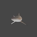 Realistic Shark 3D Model with Detailed Features and Swimming Pose on Black