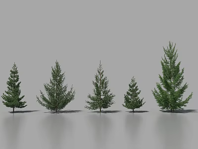 Diverse Arbor Trees in a Row Showing Varied Heights and Foliage Shapes 3d model
