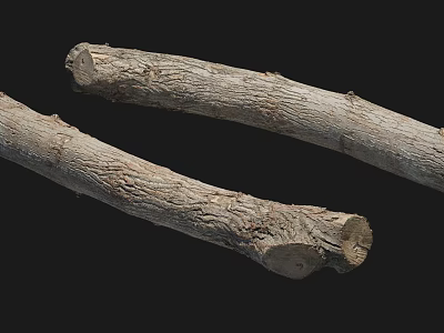 Modern Wood Old Wood Log 3d model