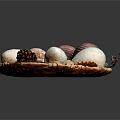 Decorative Ornament Set With Various Textured Spheres Pinecones And Seashells In Wooden Tray