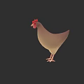 3D Rendered Chicken Model with Light Brown Feathers and Red Comb on Dark Background