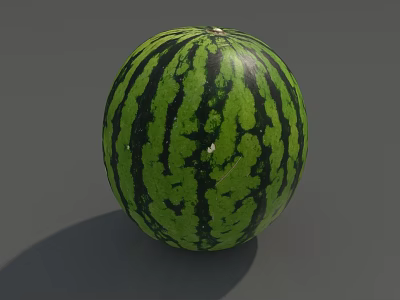Fresh Ripe Watermelon With Green And Dark Green Striped Exterior Surface 3d model