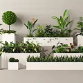 Decorative Plant Combination With White Planters Various Heights Tropical Leaves Ferns Vines And Succulents