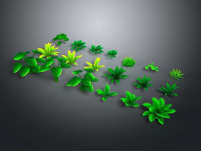 Green Plants With Various Leaf Shapes Arranged On Gray Background 3d model