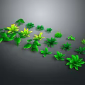 Green Plants With Various Leaf Shapes Arranged On Gray Background