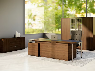 Walnut Office Desk With Cabinet Chair And Large Windows Green View On Rug 3d model
