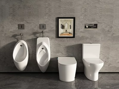 Modern Urinals in Bathroom with Toilets Grey Wall and Decorative Painting 3d model