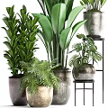 Various Green Potted Plants With Different Leaf Shapes In Decorative Metal And Ceramic Containers 3d model